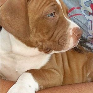 Meet your Posher, Stacy